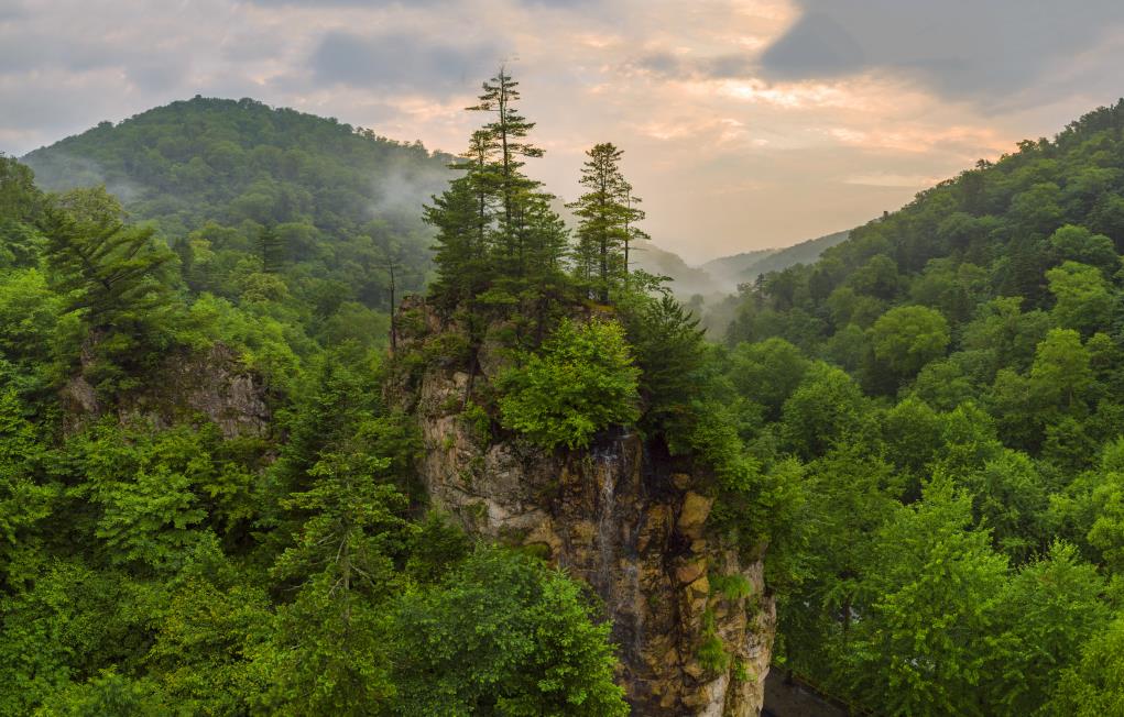 QQ 브라우저 스크린샷 20240430150521jpg